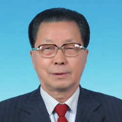 王章法--区域经济策划专家
