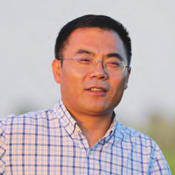 戴宏伟--金融服务策划专家